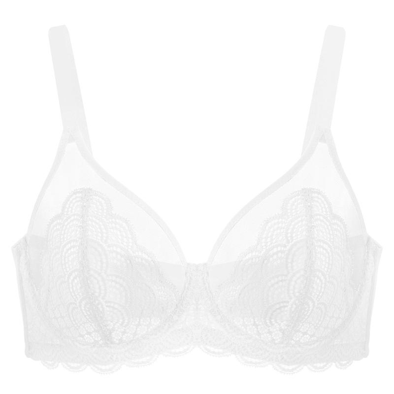 HSIA Mermaid Scales Lace Unlined Full Coverage Plus Size Underwire Bra Mesh Sexy